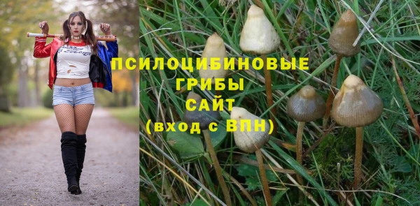 герыч Алексин