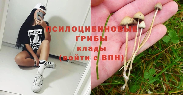 амф Алексеевка