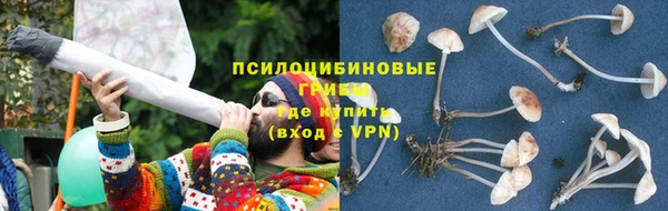 амф Алексеевка