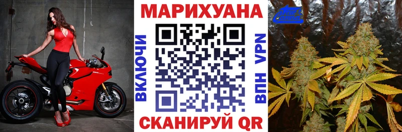 Бошки Шишки гибрид  Чайковский 